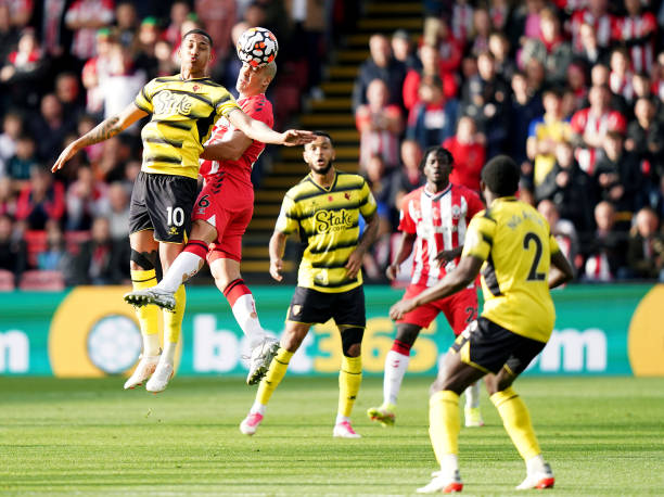 自由鲍威尔 自由鲍威尔