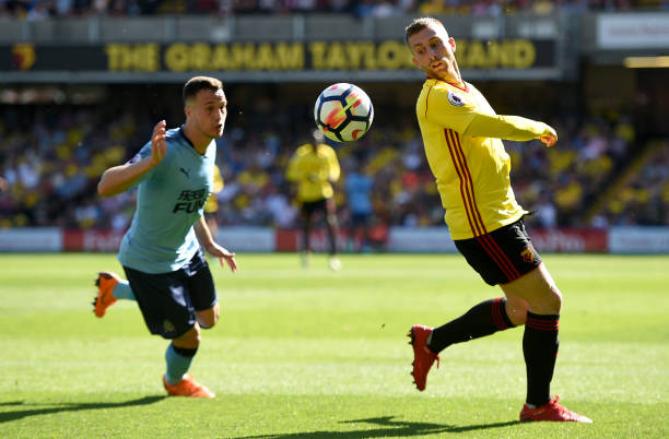 现砍下了 现砍下了