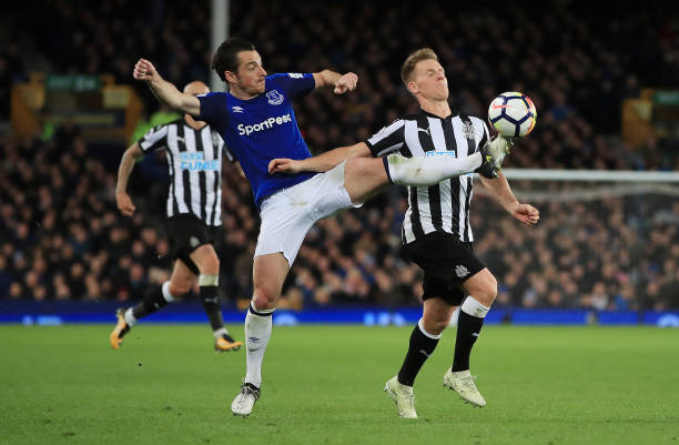 布朗希尔在 布朗希尔在